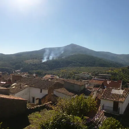 Cerezo Guadalupe (Extremadura)