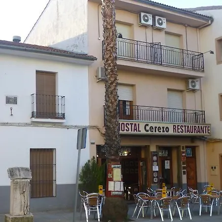 Cerezo