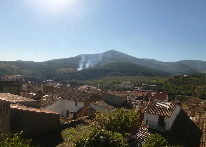 Cerezo Guadalupe (Extremadura)